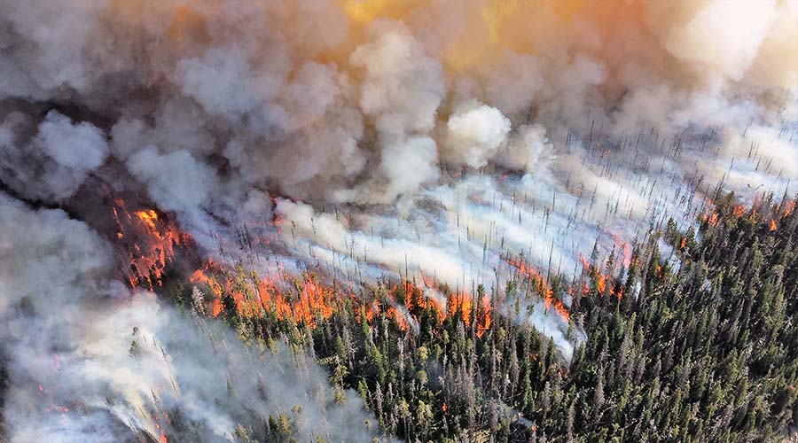 Smoke Covers Much of North America During Busy Summer Travel Period