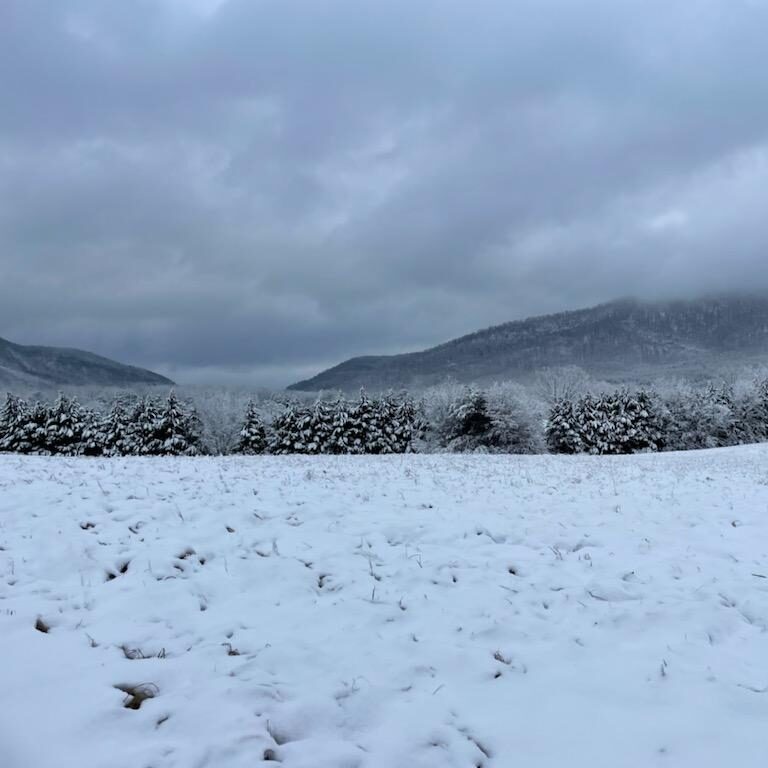Winter in America: The Hiwassee/Ocoee Scenic River