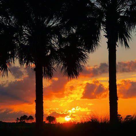 John Golf’s “Putting Around the USA”: An Ocala New Year