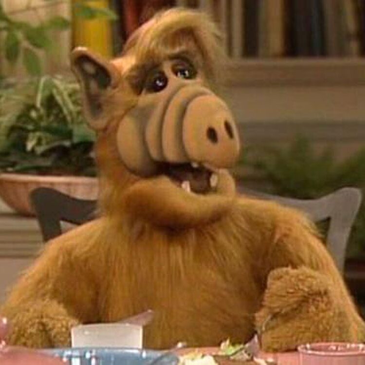 Ha! Alf Is Back!