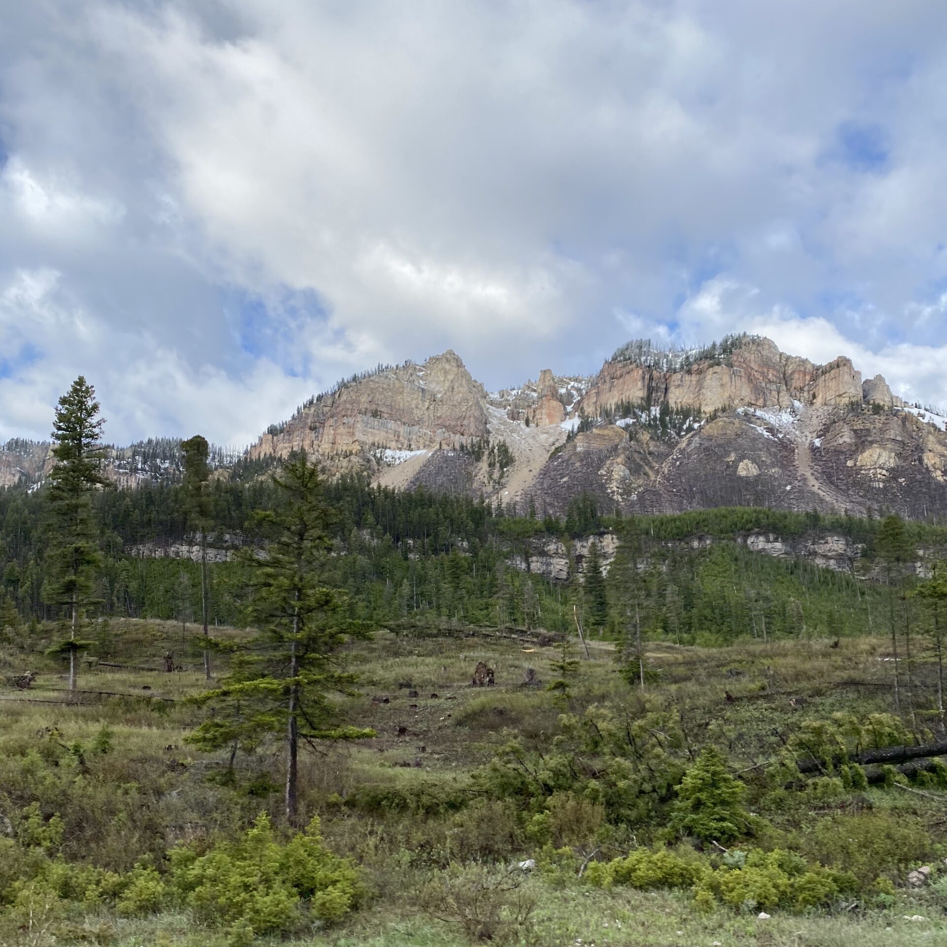 “Beautiful Places with Beautiful People”: WDW Pro Interviews John Golf (Audio)