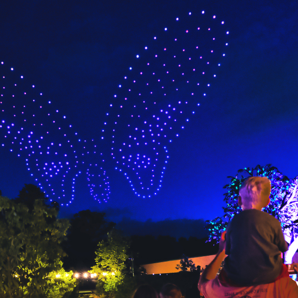 Dollywood’s Nighttime Spectacular Has Amazing Drone Tricks (Video Included)