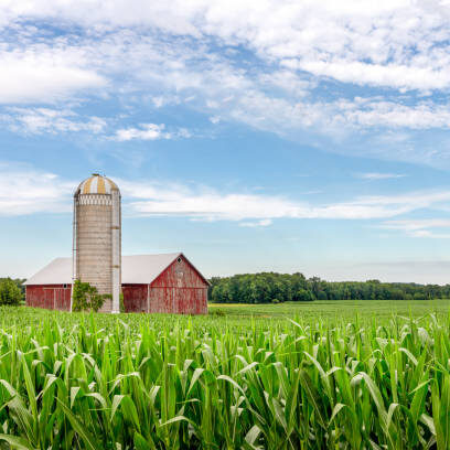 Canadian Fertilizer Policies Likely to Raise Travel Costs… and Much Worse