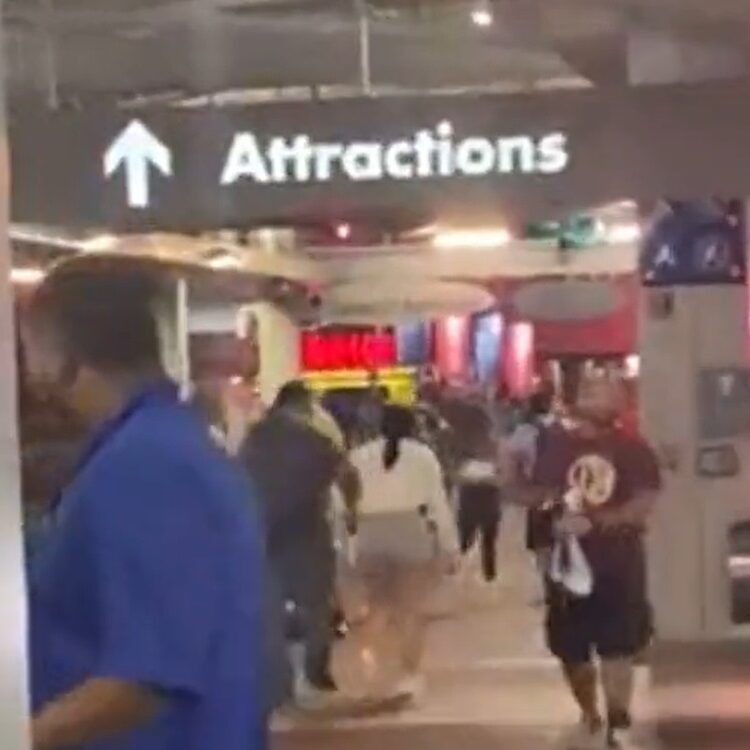 Universal Studios CityWalk in Orlando Evacuated as Violence Panics Guests