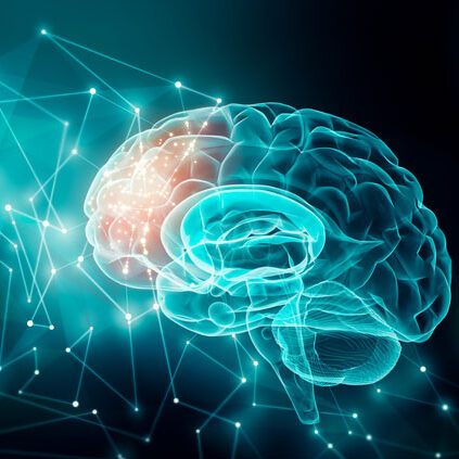 Entertainment, Leisure, Creativity, Free Will and the Nature of Consciousness