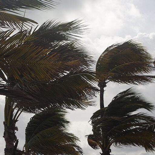 Hurricane Ian Updates with Video, Photos and Tweets — Disney to Phase Reopening