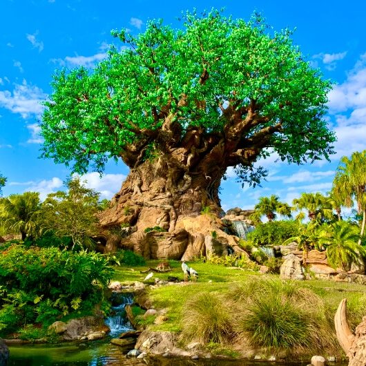 Time Capsule Opened at Animal Kingdom on 25th Anniversary