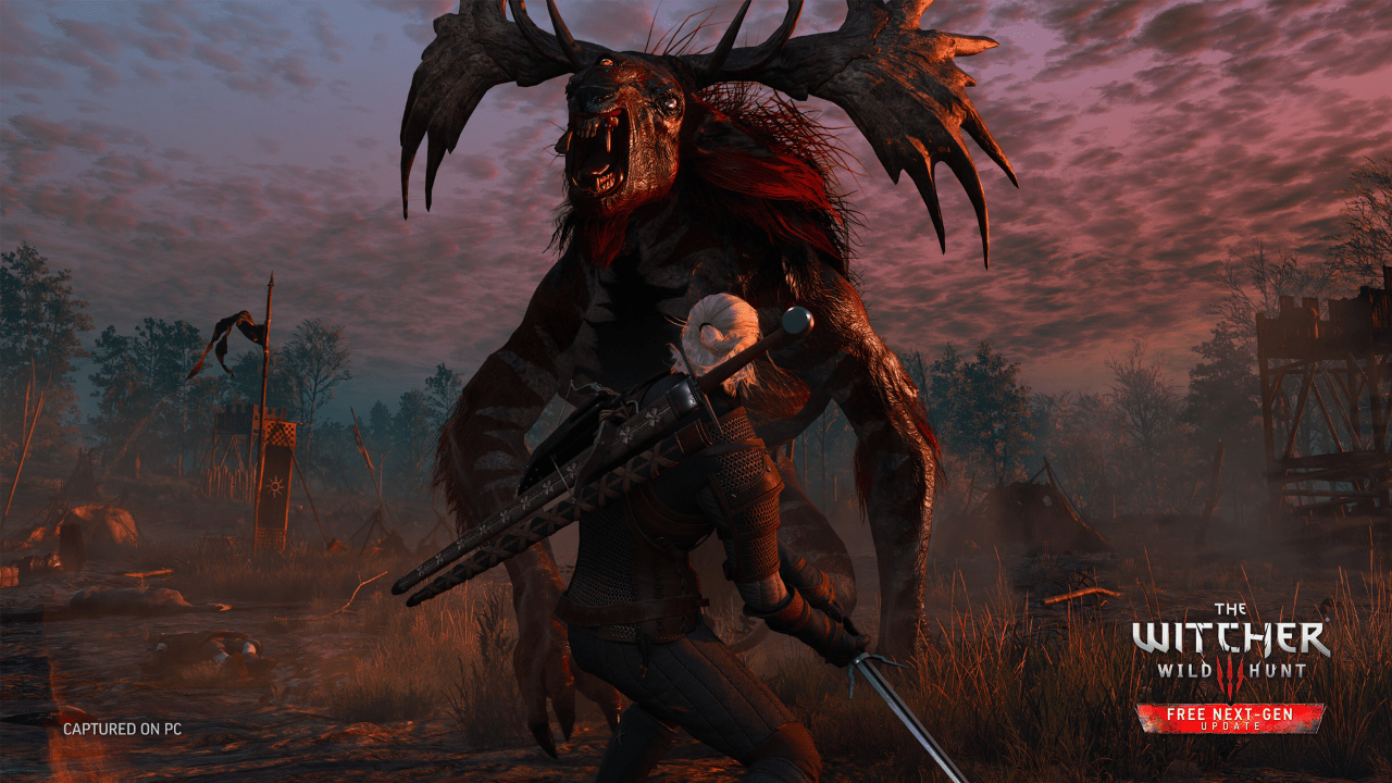 The Witcher 3