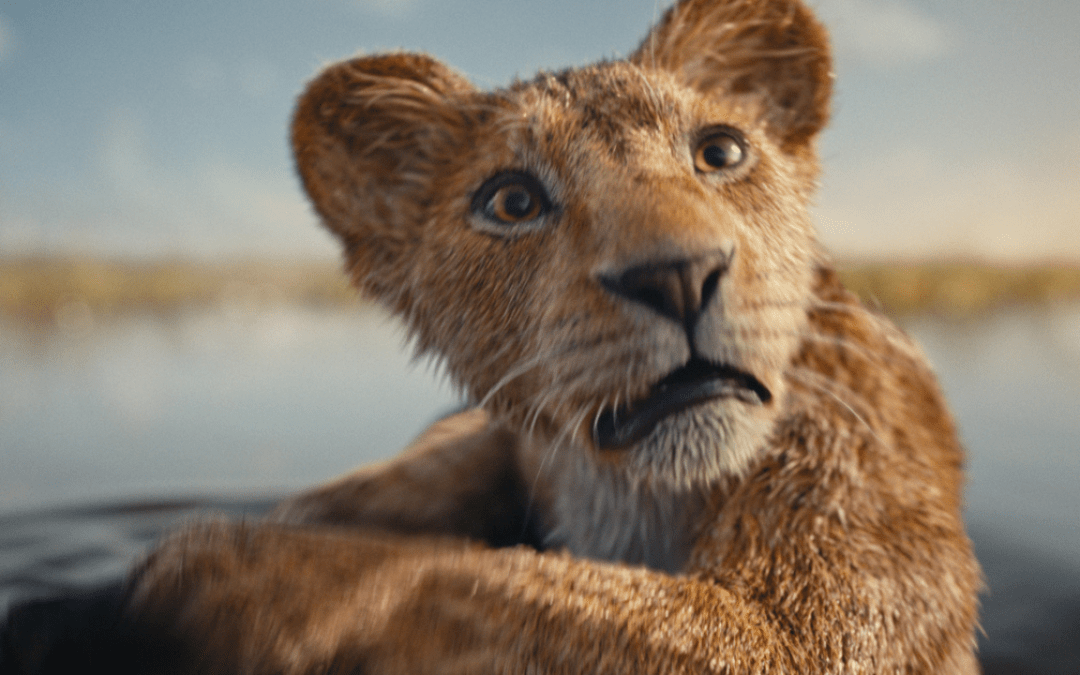 The Walt Disney Company Turns Off Comments For ‘Mufasa: The Lion King’ After Massive Backlash