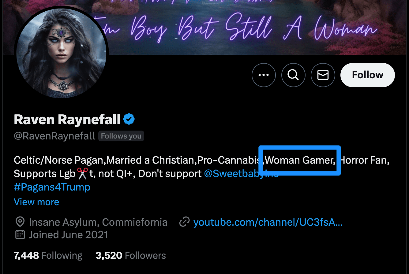 Bio for X user Raven Raynefall