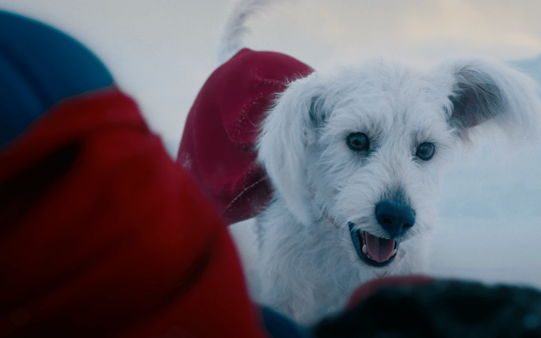 James Gunn Claims Krypto, John Stewart, and Peacemaker Could Become DC’s New “Diamonds”