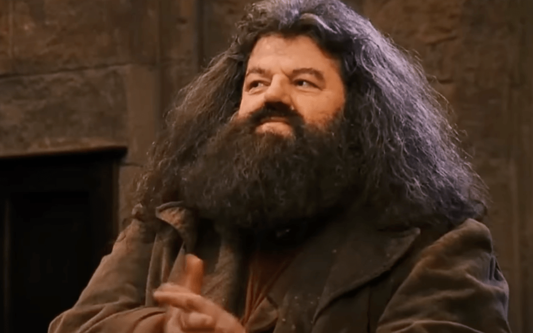 Harry Potter Reboot Casting Choices Verified, Including Lithgow as Dumbledore and Essiedu as Snape, Igniting Online Reaction