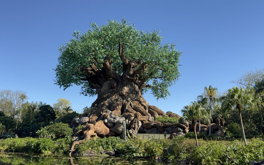 Disney World Extended Evening Hours Moves To Disney’s Animal Kingdom