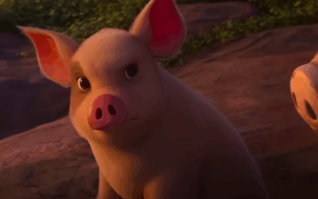 Tim Pool Rejects Animal Farm Promotion Over Film’s “Pro Communism” Messaging