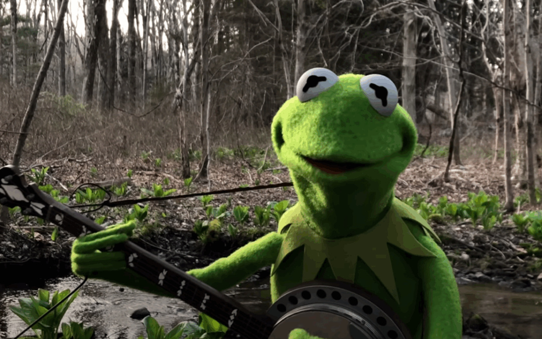 The Muppets Are Coming to Disney Cruise Line After Being Booted From MuppetVision 3D Theater