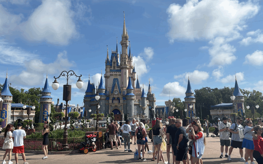 CNN Commentator Says Disney Adults should go to “Alligator Alcatraz”