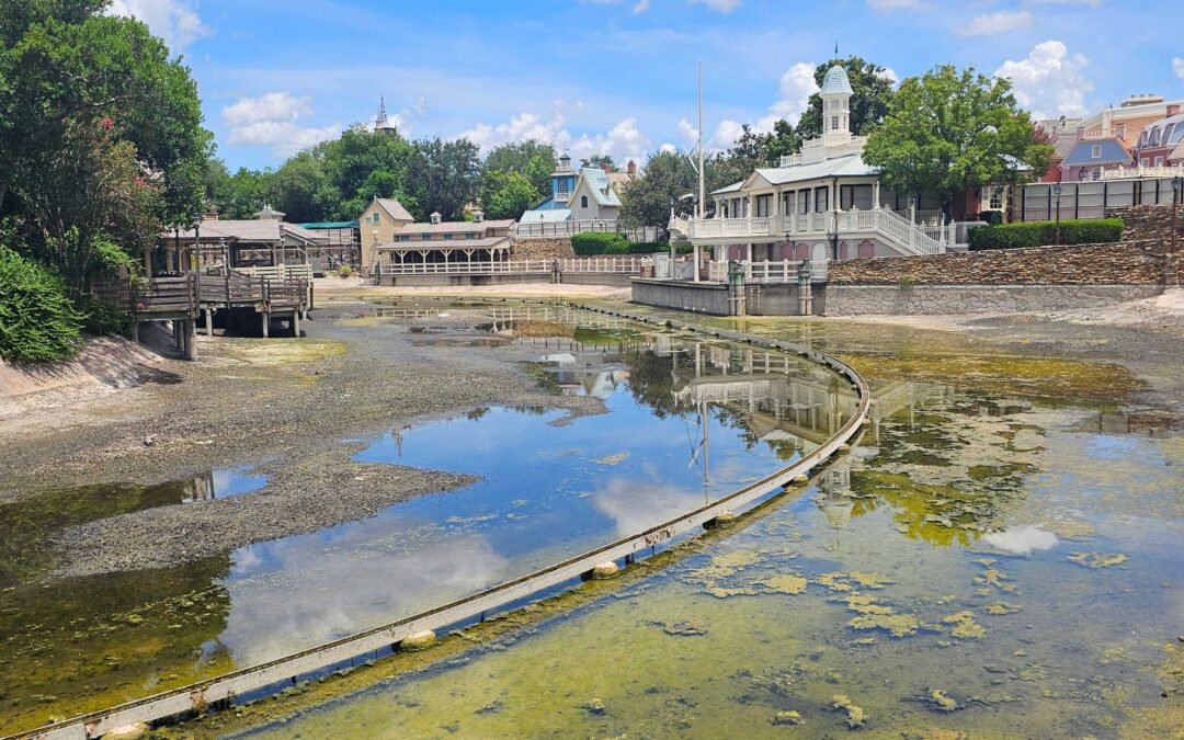 Corporate Execs Claiming They “Get” Why DEI Hurt Them And Are Fixing It Protest Too Much, Methinks — An Editorial by LW Ghost