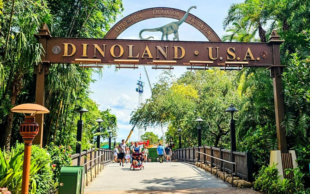 PHOTOS: Disney’s Animal Kingdom Vanishes Behind Construction Walls
