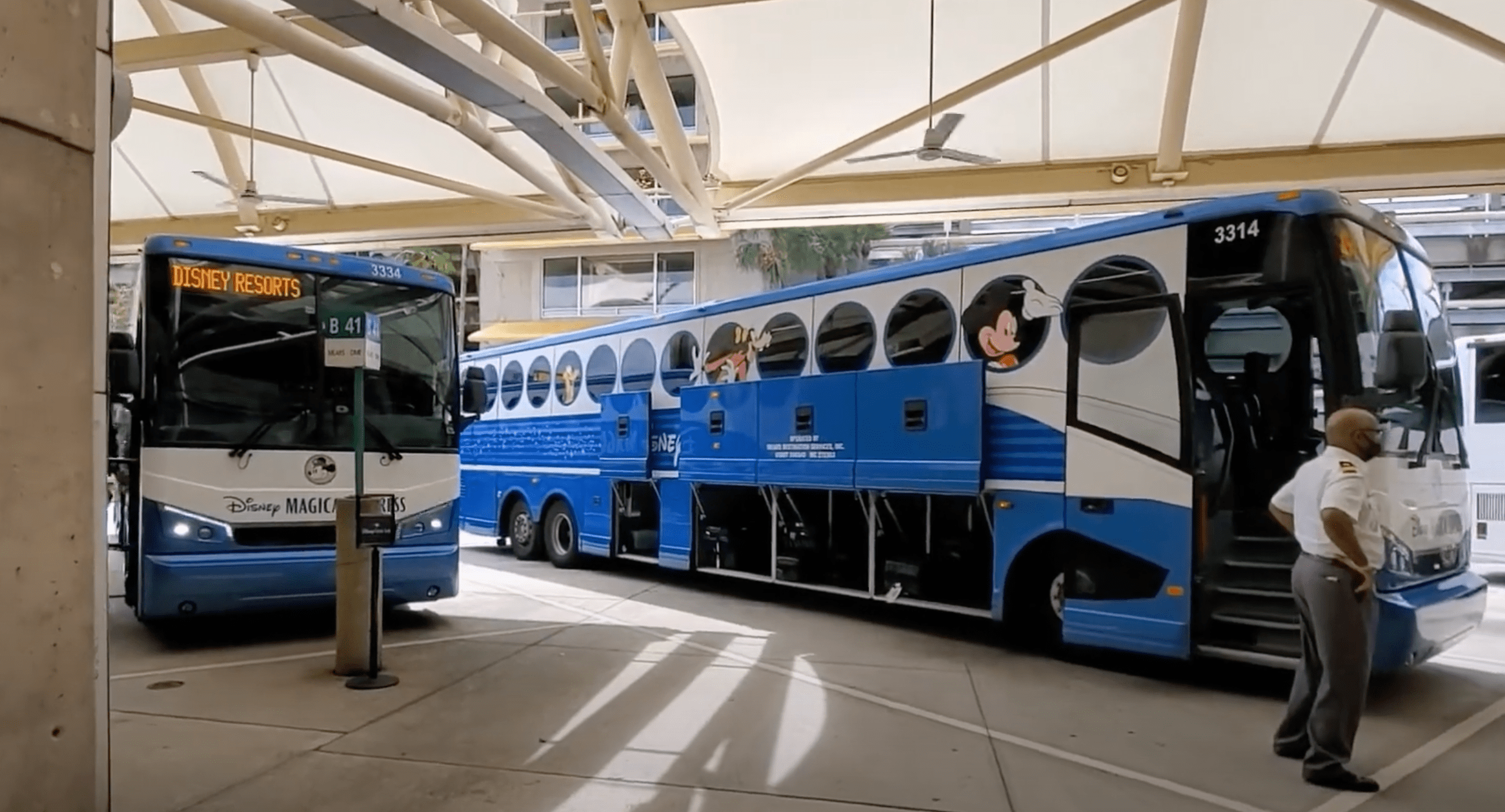 Disney Magical Express busses parked at Orlando International Airport and loading guest luggage