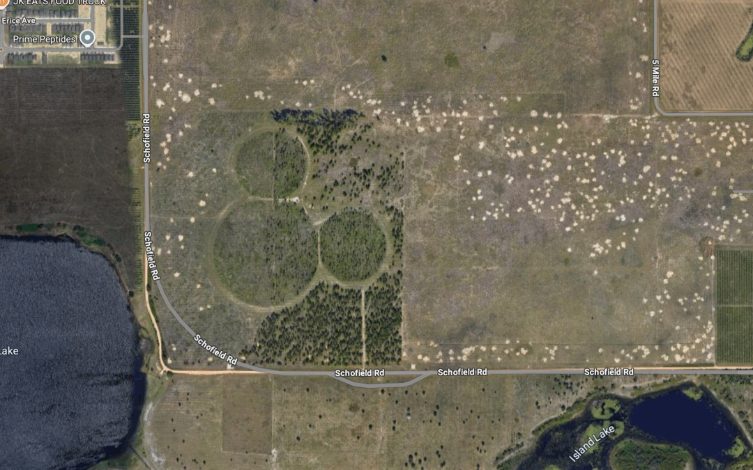 Charlie Kirk Memorial Highway Approved Along Disney’s Hidden Mickey Forest Near Walt Disney World