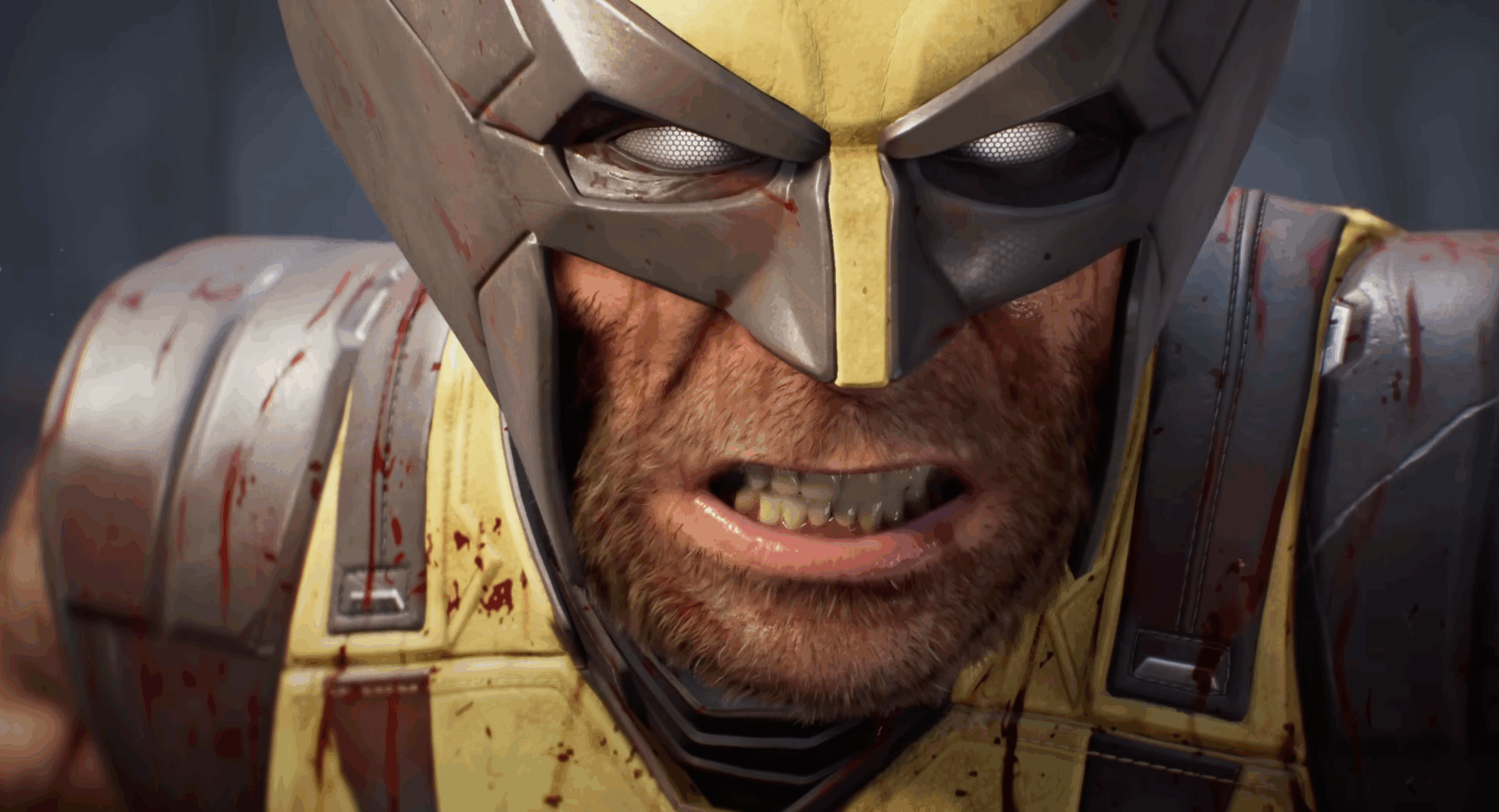 Wolverine close up