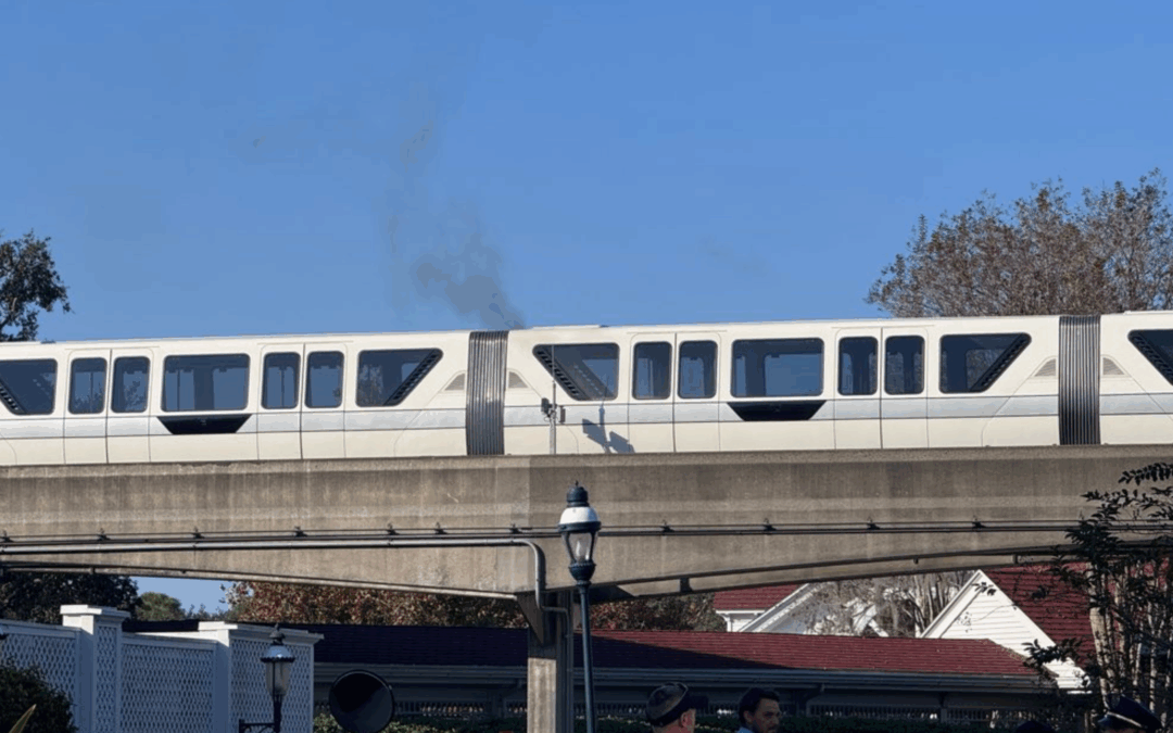 Reported Disney World Monorail Fire Forces System Shutdown Near Grand Floridian