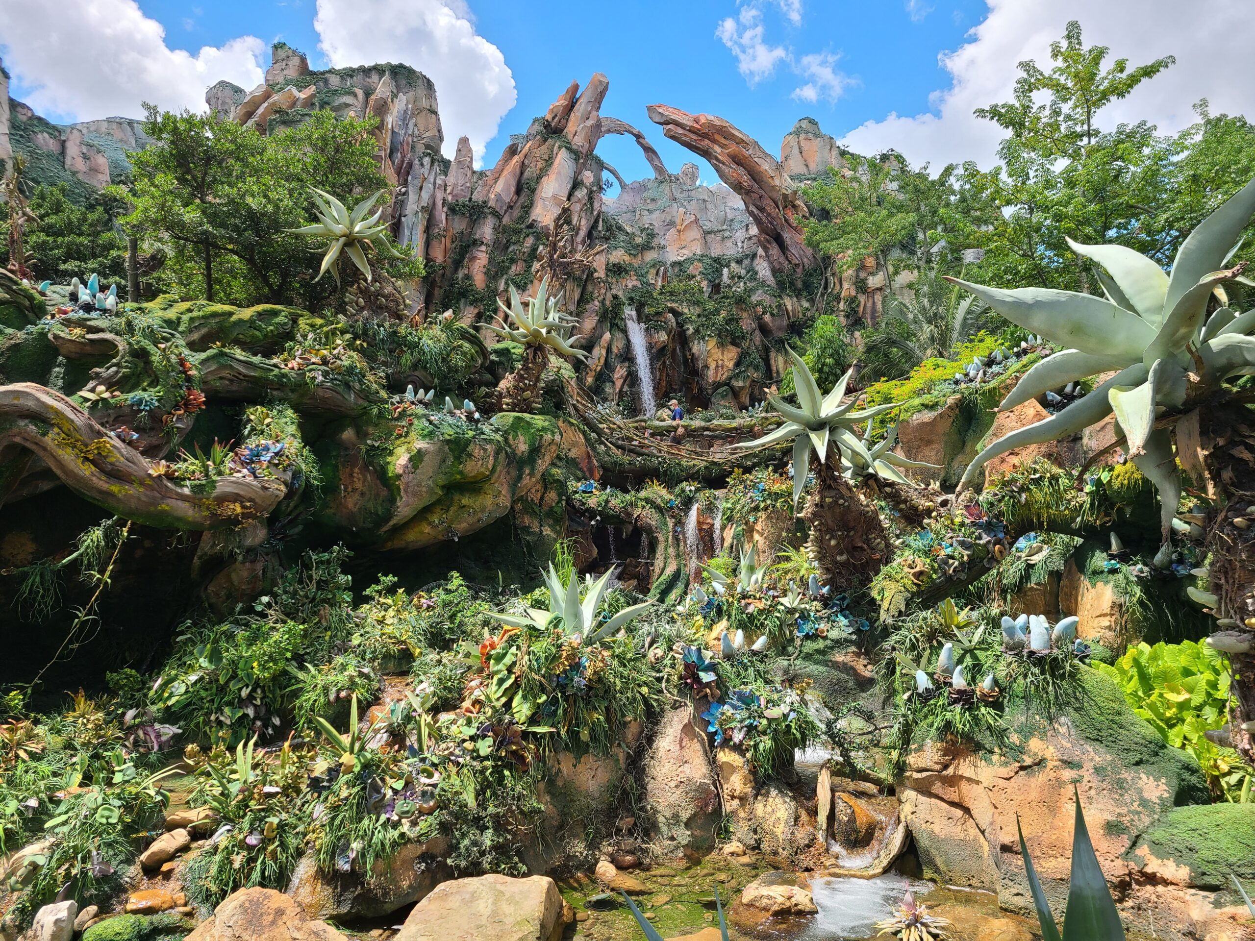 Pandora in Animal Kingdom at Walt Disney World