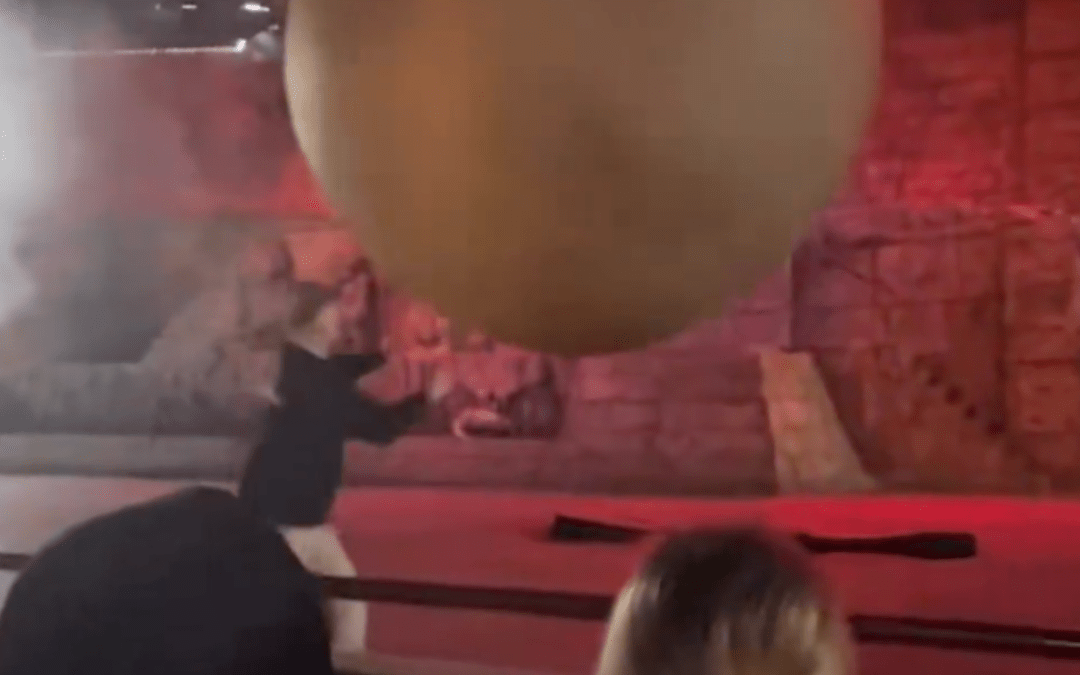 Heroic Disney World Cast Member Protects Guests From Runaway 400 lb Indiana Jones Boulder After Scary Malfunction