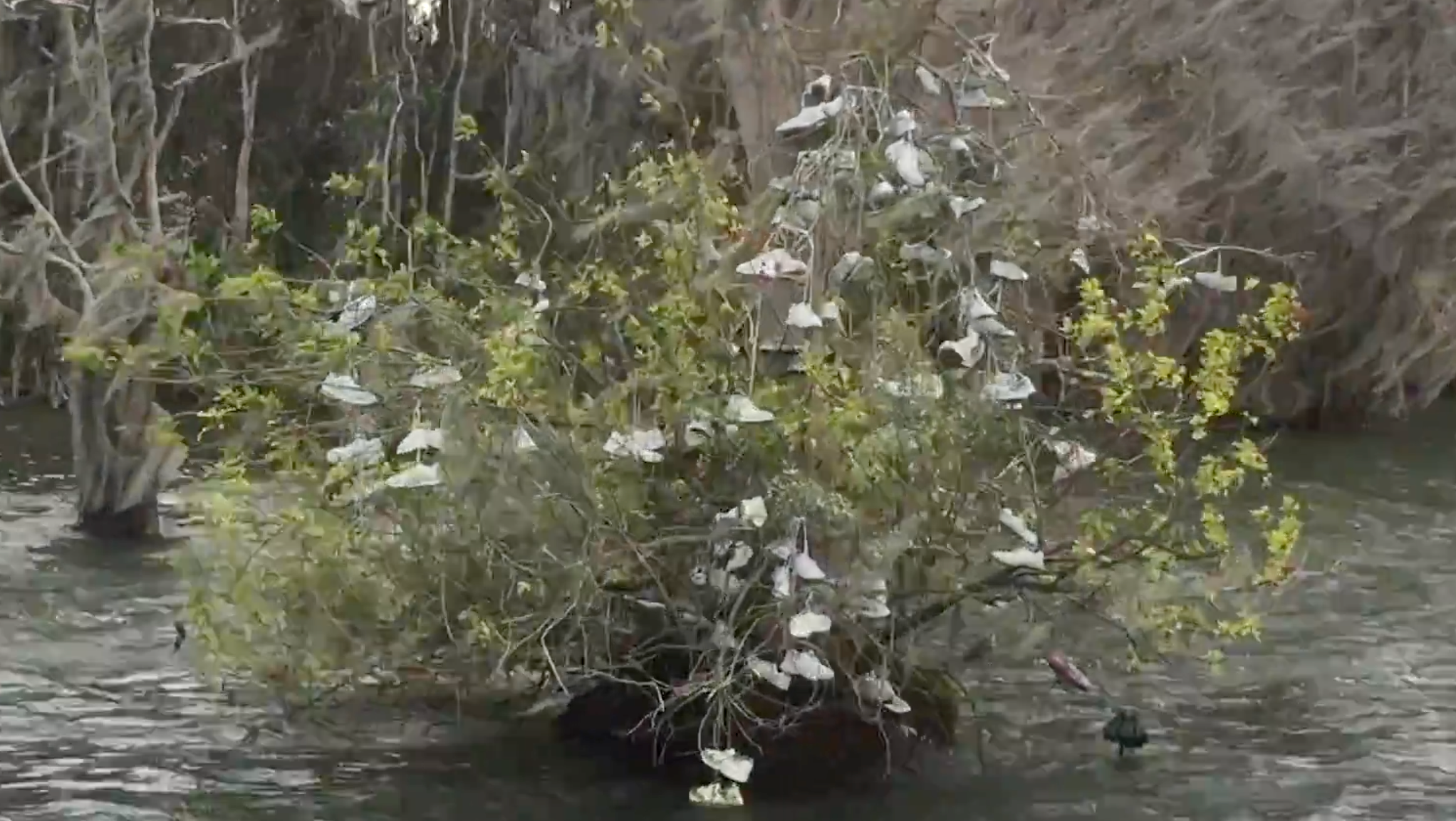 The Shoe tree at Walt Disney World