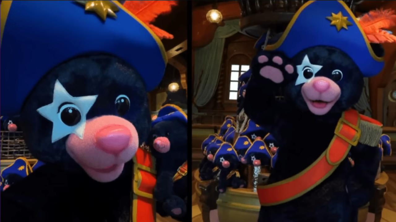 Captain Cacao Meet and Greet