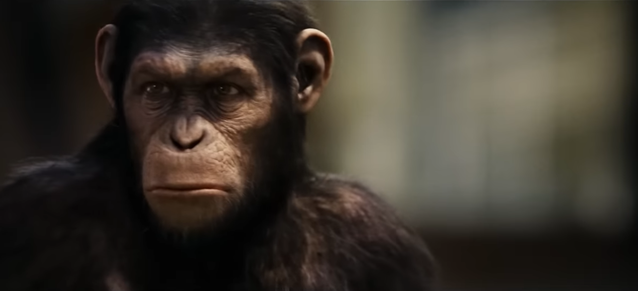 Caesar from Rise of the Planet of the Apes