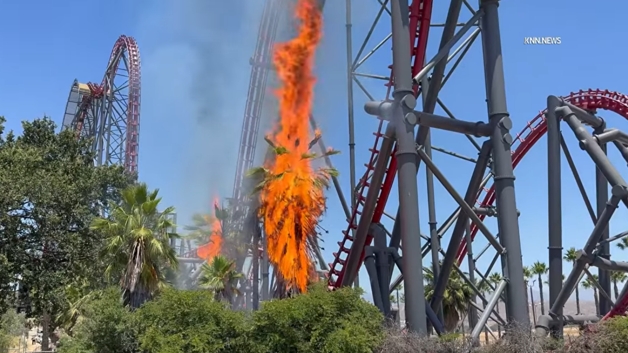 Fire Under X2 Roller Coaster Six Flags Palm tree engulfed in flames among trees near large roller coaster