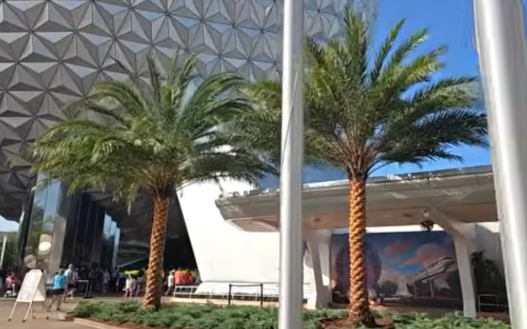 New Palm Trees Added to Epcot Entrance Plaza