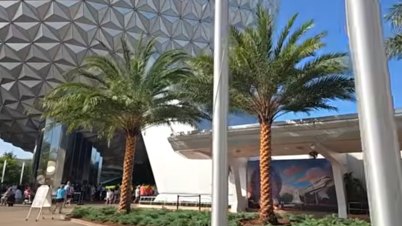 Palm trees in Epcot by Spaceship Earth