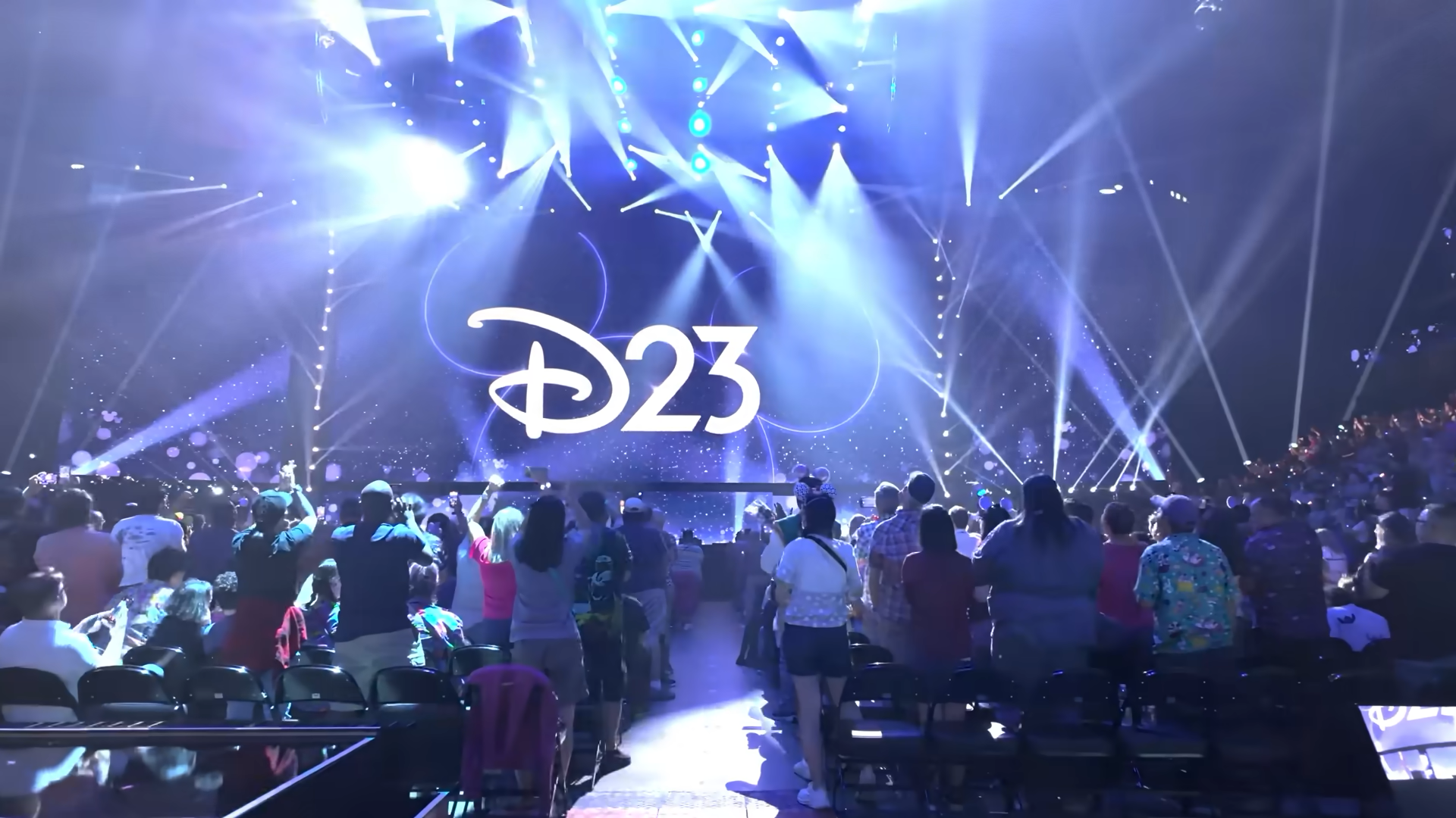 A crowd at D23