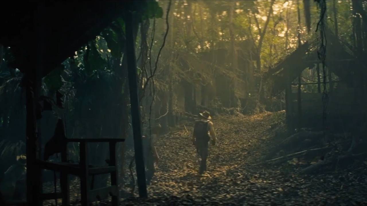 A man in a hat walks through a hazy jungle, his back to us
