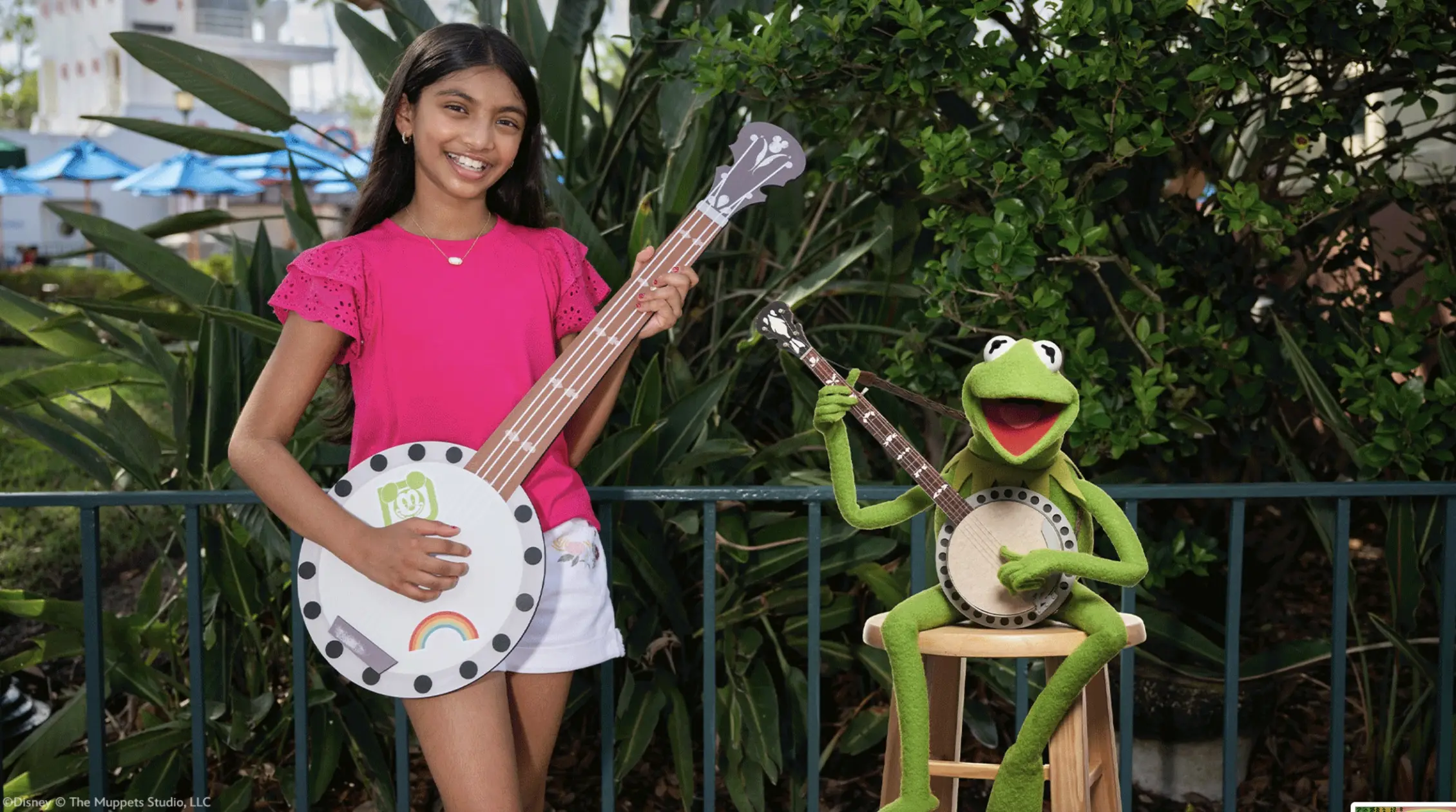 The Muppets Kermit Magic Shot at Disney World