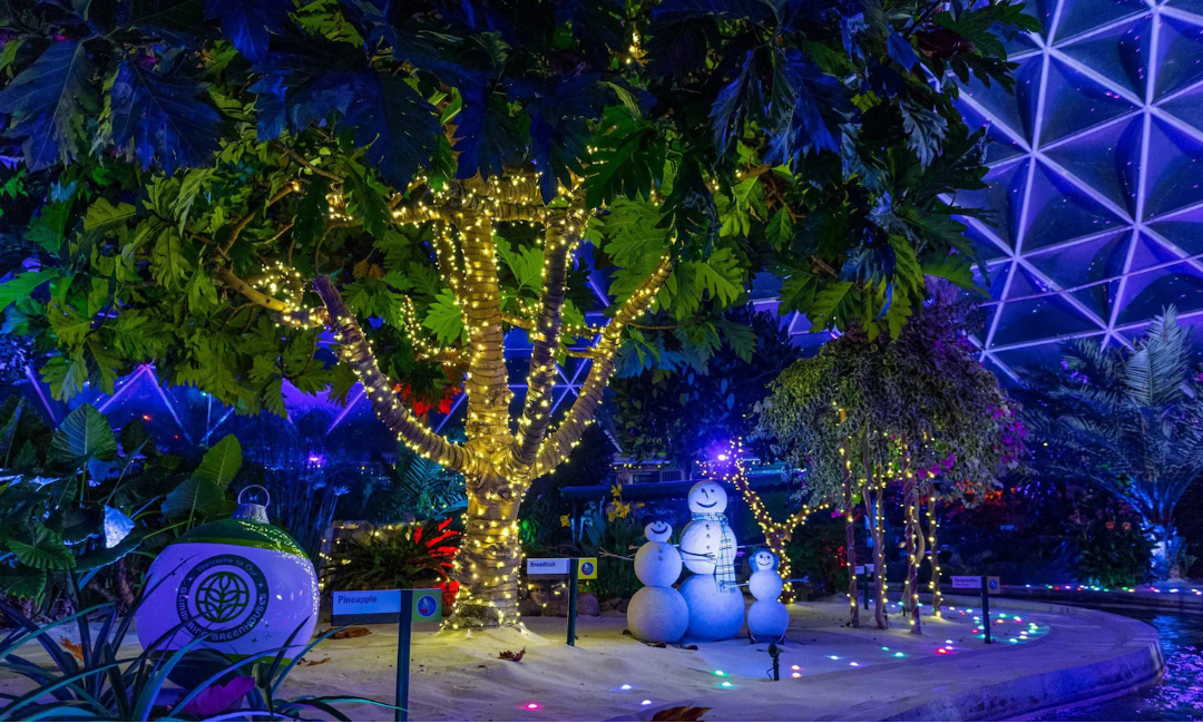 Behind The Seeds Glimmering Greenhouses Returns to EPCOT This Christmas