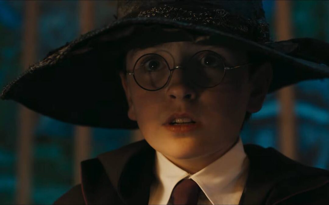 Harry Potter HBO Show Finds Its Dobby, Tom Riddle, and New Ginny Weasley
