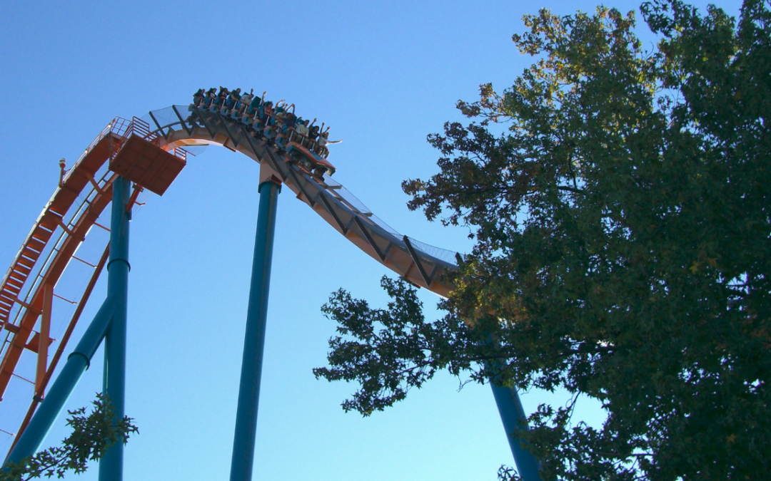Six Flags Over Georgia Guest Dies After Reportedly Falling From Goliath Roller Coaster