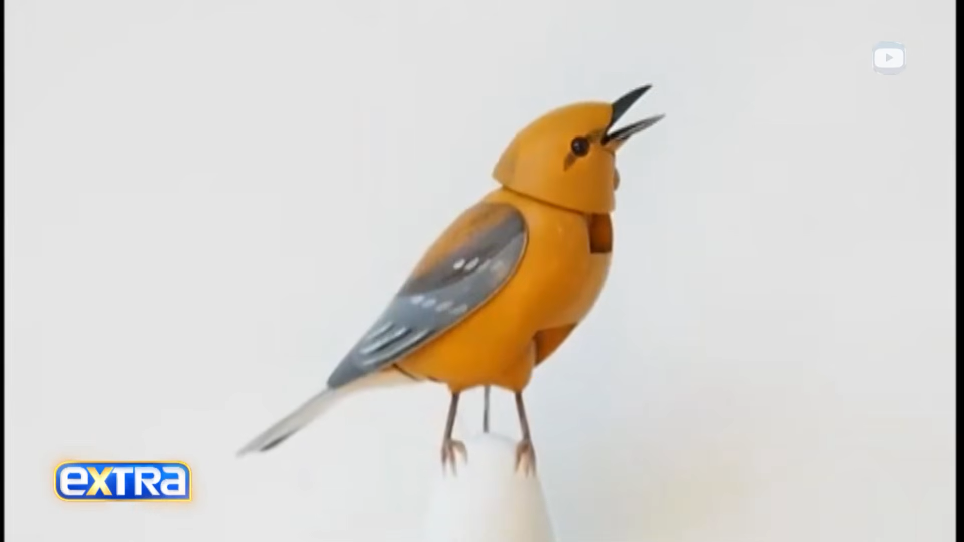 A mechanical bird