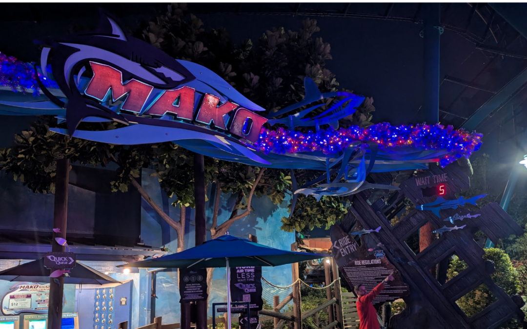 SeaWorld Orlando Shuts Down Mako as Six Flags Roller Coaster Fatality Sparks Widespread Closures