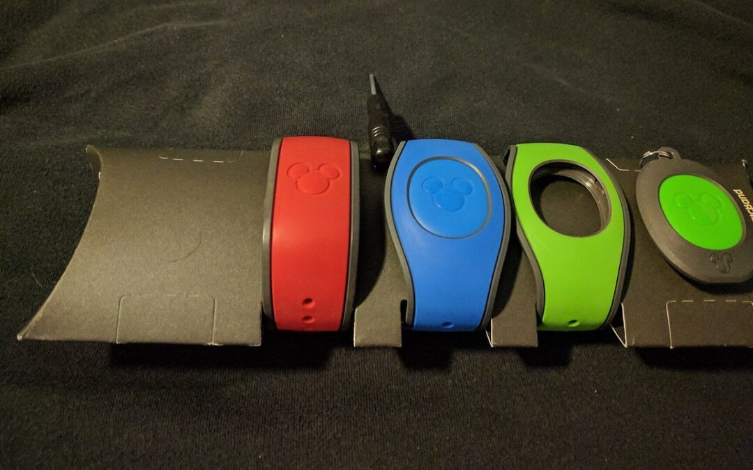 Disney World Survey Quizzes Guests on Park Entry as MagicBand Rumors Swirl