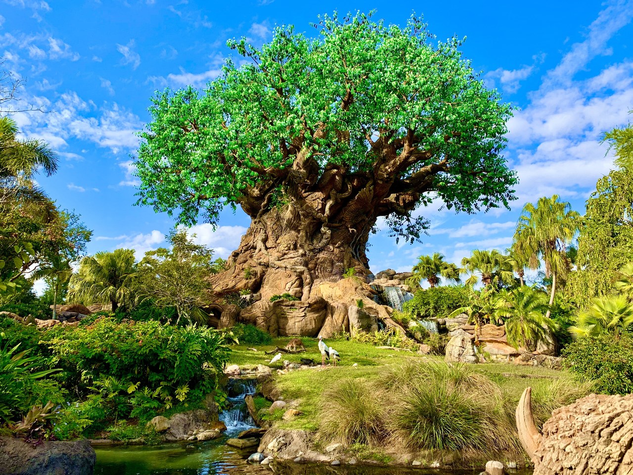 The Tree of Life at Disney's Animal Kingdom surrounded by tropical plants under a blue sky