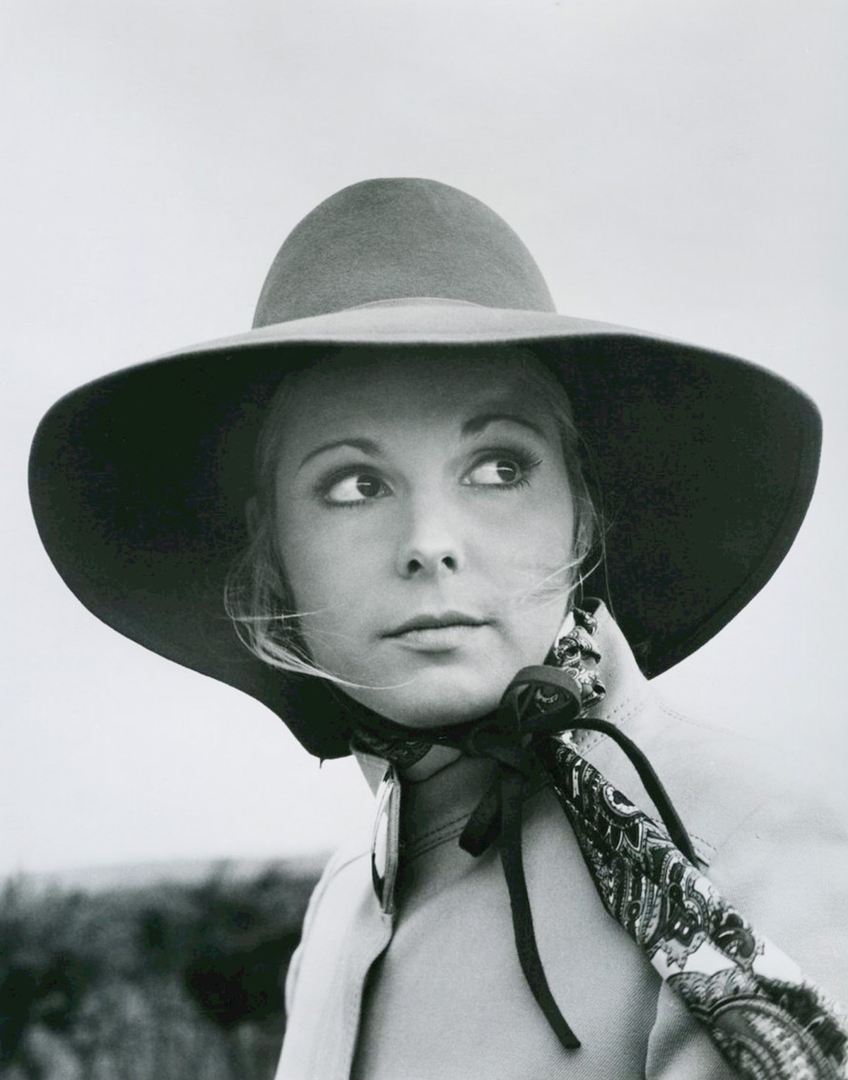 Susan Saint James portrait